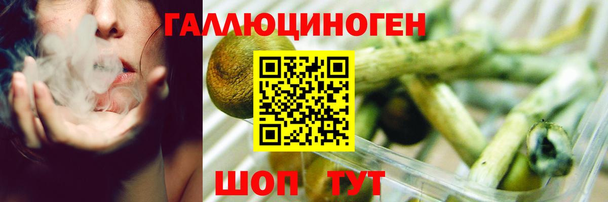 Псилоцибиновые грибы Psilocybine cubensis Москва